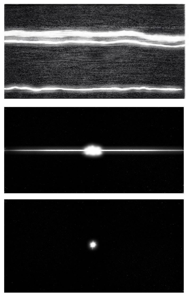 Read One Night Rental Page 5153 Tapas Community