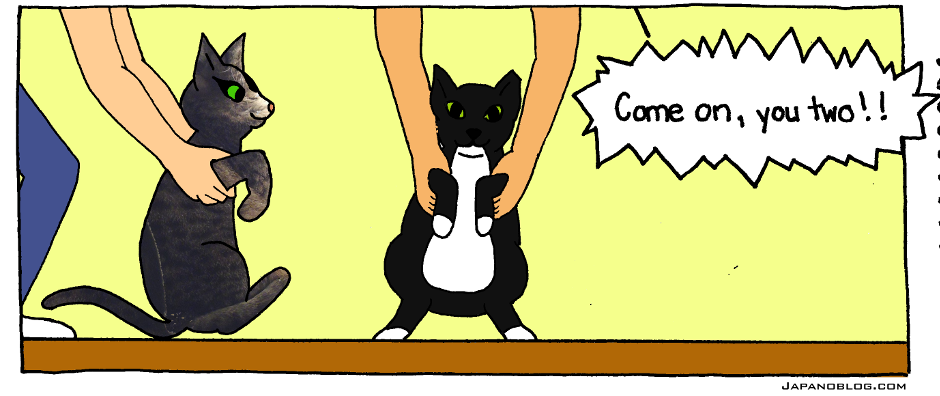 Japanoblog :: Jiggly Maruです - image 5