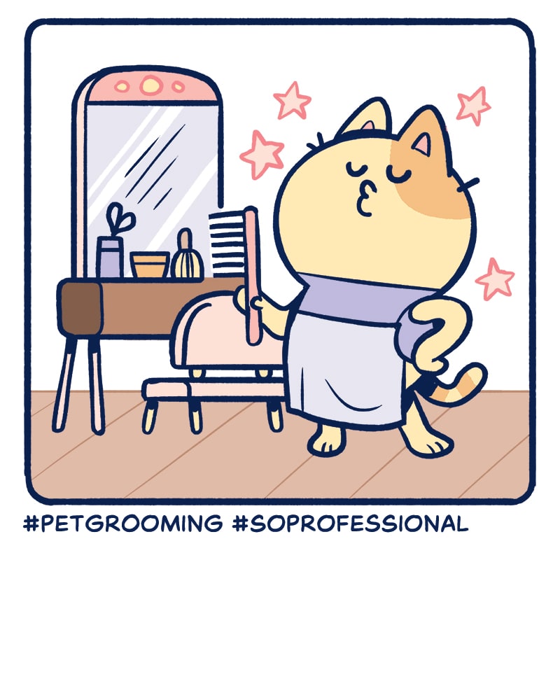 Read Fluffy Hashtags Pet Grooming Tapas Comics