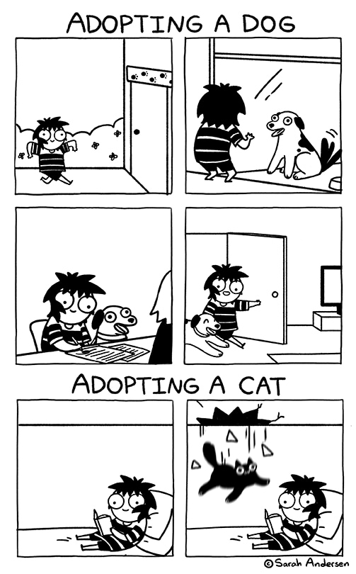Read Sarah s Scribbles Adopting Tapas Community