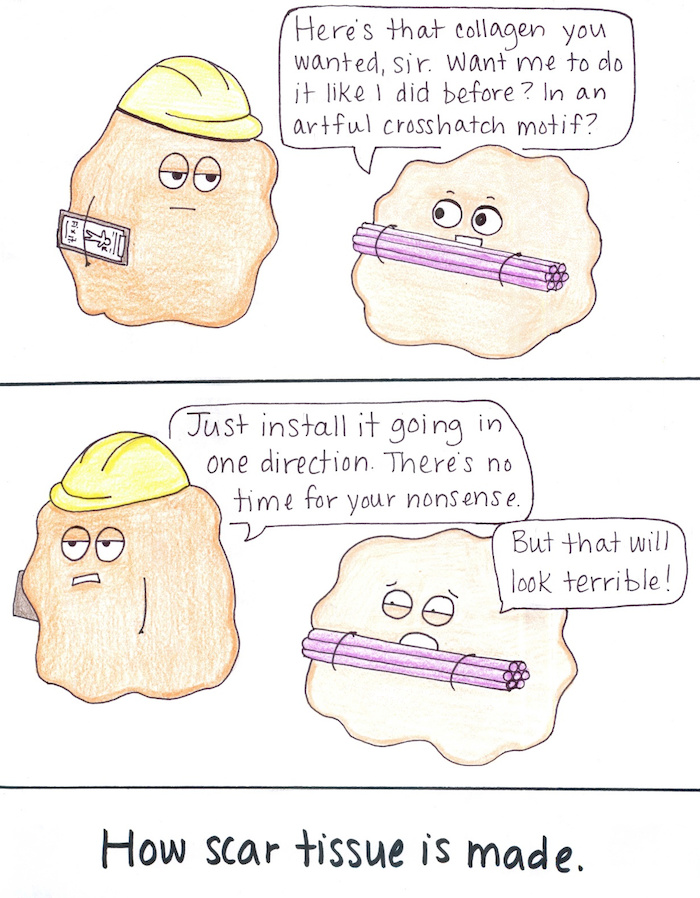 Read Beatrice the Biologist Scar Tissue Tapas Comics