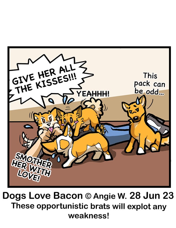Read Dogs Love Bacon 135 Toppled! Tapas Community