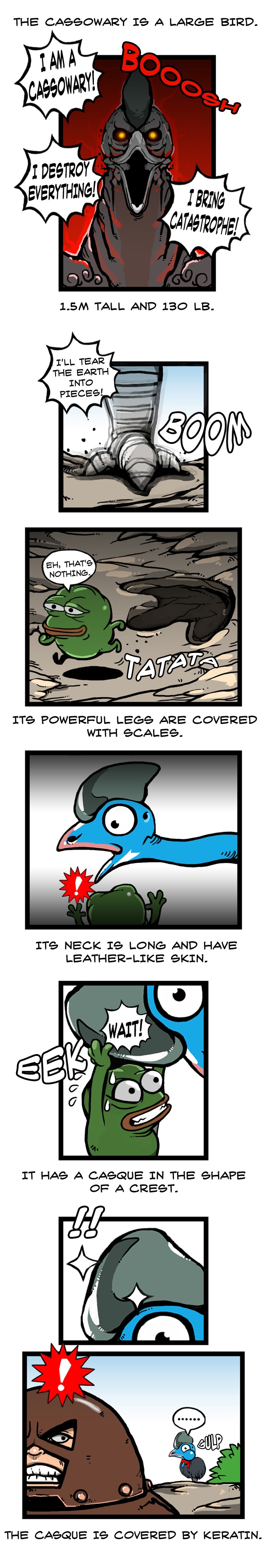 Read Earth, Human, and Animal :: Southern Cassowary | Tapas Community