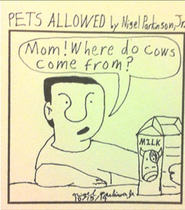 Read pets allowed where do cows come from tapas community