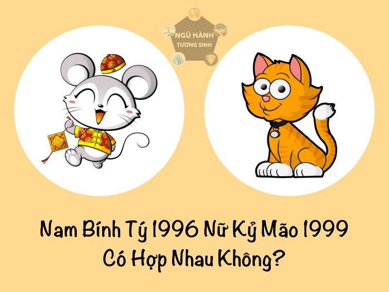 Tuổi Quý Hợi và Kỷ Tỵ Có Hợp Nhau Không?