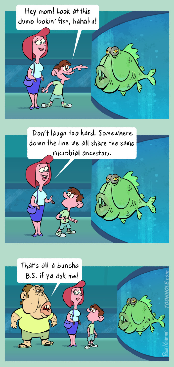 Read TOONHOLE :: Dumb Fish Evolution