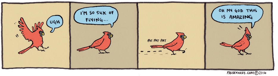 Northern Cardinal Cartoons and Comics - funny pictures from