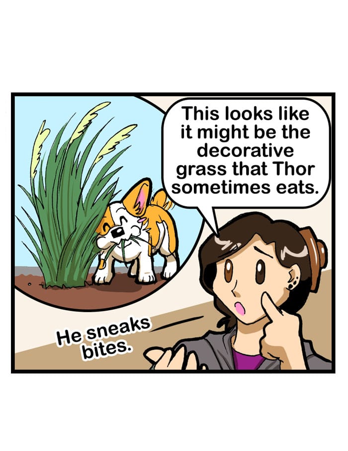 Read Dogs Love Bacon 91 Dog versus Germaphobe Tapas Comics