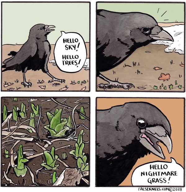 Read FalseKnees :: Hello Crow! | Tapas Comics