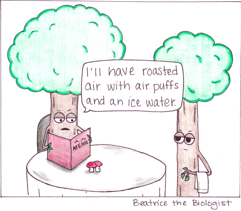 Read Beatrice the Biologist Tree Restaurant Tapas Comics