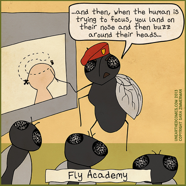 Read Unearthed Comics :: Fly Academy