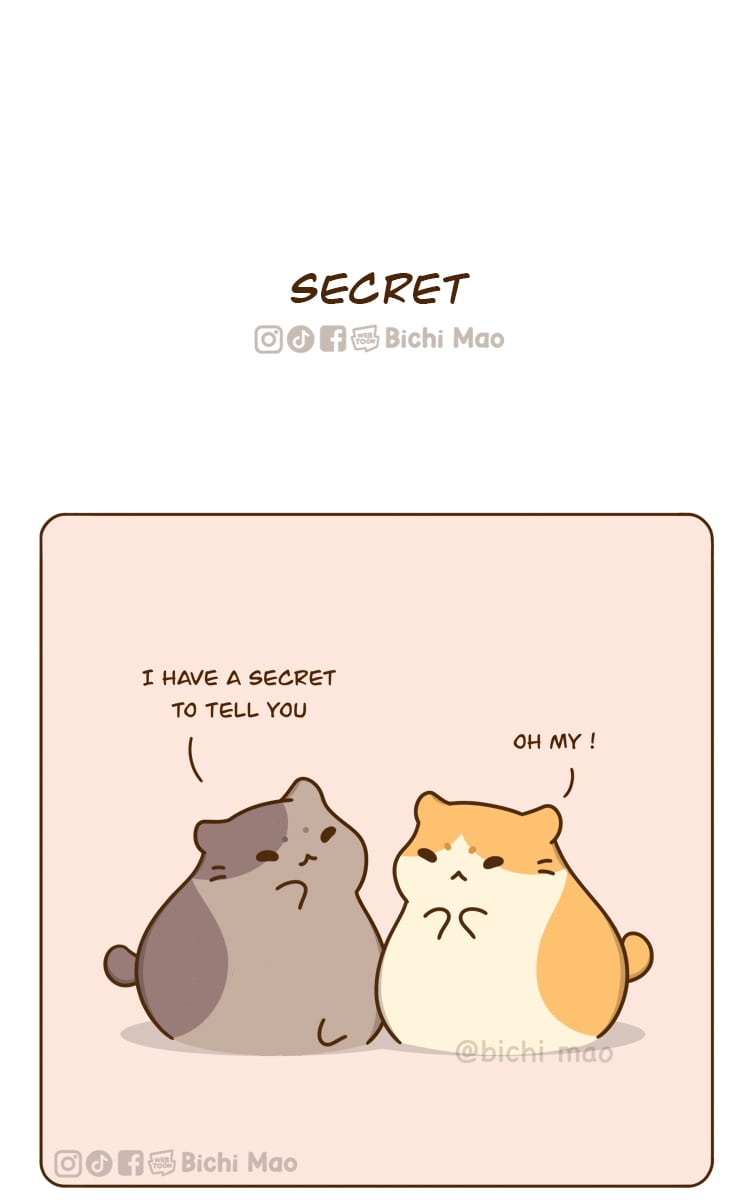 Read Bichi Mao :: Secret | Tapas Community