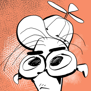 14 - Bon&eacute; de Helic&oacute;ptero