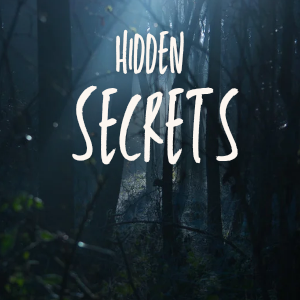 Hidden Secrets