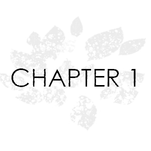 Chapter 1 P.7