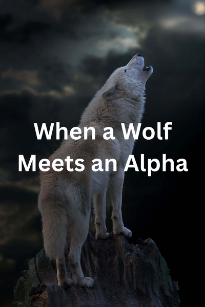 When a Wolf Meets an Alpha {Rewritten}