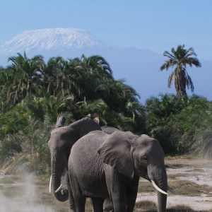 Tanzania - January 2010 - Part 6