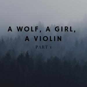 A wolf, a girl, a violin - part 1