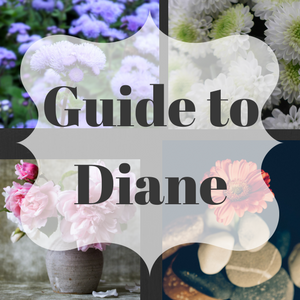 Guide to Diane!