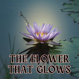 The flower that glows