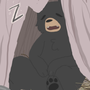 Sleepy Bear in tree trunk care