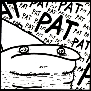 How many pats could a pat mage pat?