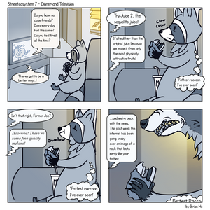 Dinner and Television