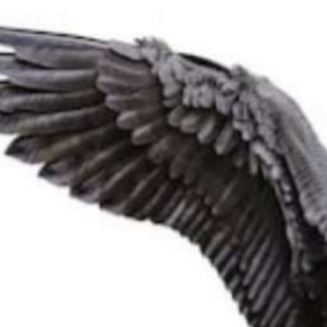 Son of an Archangel: Dark Shades of Hydra (Prequel)