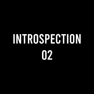 INTROSPECTION 02