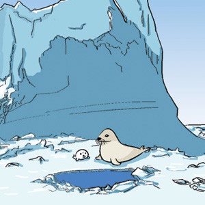The Harp Seal of the North Pole (1)