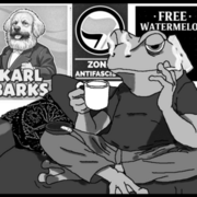 Burned Out - Life as a frog 