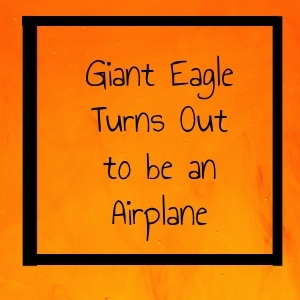 Giant Eagle Turns Out to be an Airplane