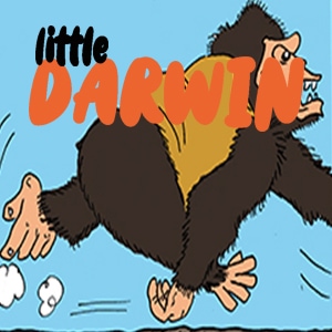 little Darwin #13