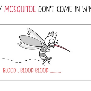 Why don't mosquito come in winter? &quot;