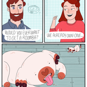 Roomba
