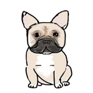 A Frenchie named Flex