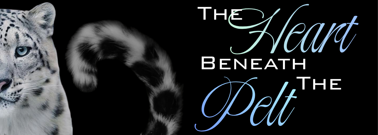 custom banner
