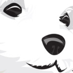 Mad Brands : Sugar Binq