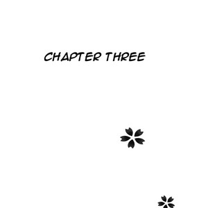 Chapter three 