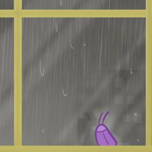 05: L&aacute;grimas na chuva