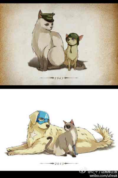 the life of Mishka and Storm