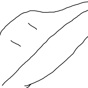 He smart and he ride.