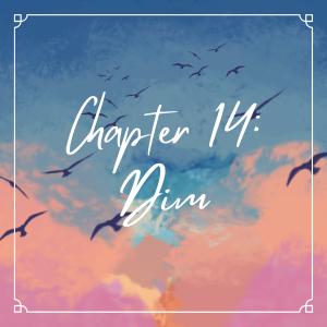 Chapter 14: Dim