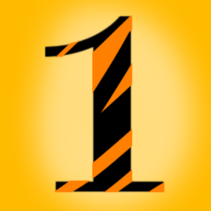 Tiger Capítulo 1 - Assim nasce a Hayai! 