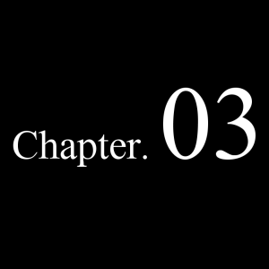 Chapter 03 