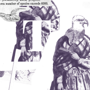 The Old Woman and the Barleycorn