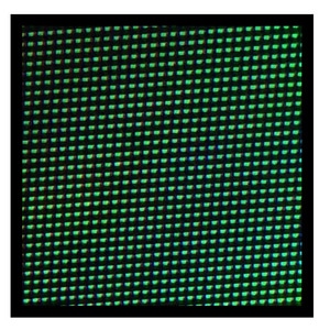 Week One - After Schulz