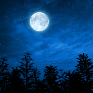 The man in the moon.[WORK]