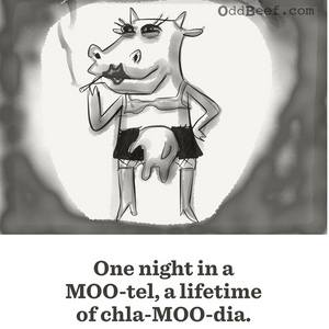 Sell your udders to the night