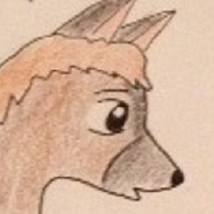 Stand up to bullies!